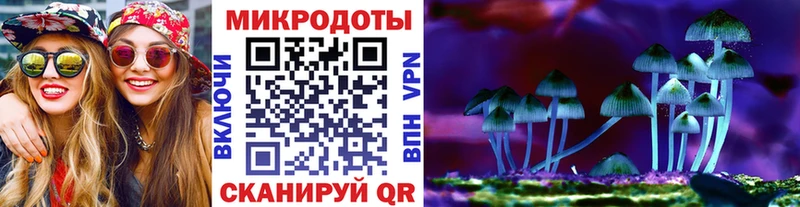Купить закладки  Гуково  Псилоцибиновые грибы ЛСД 